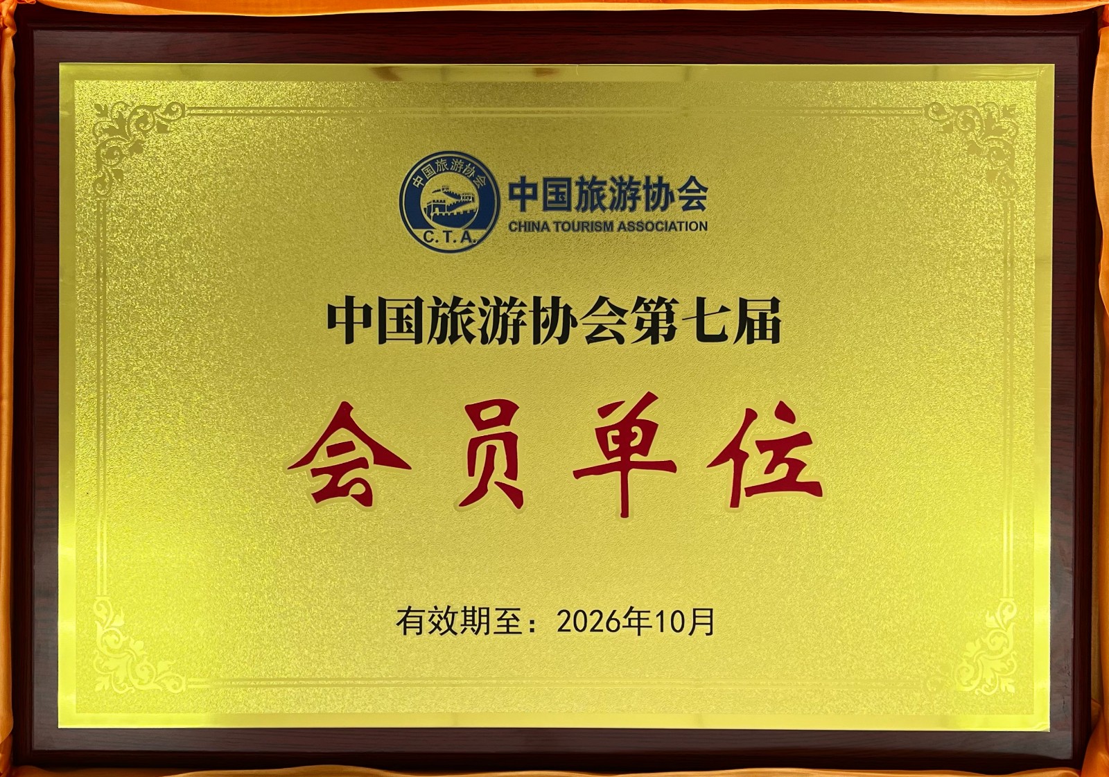 1737709205617.jpg